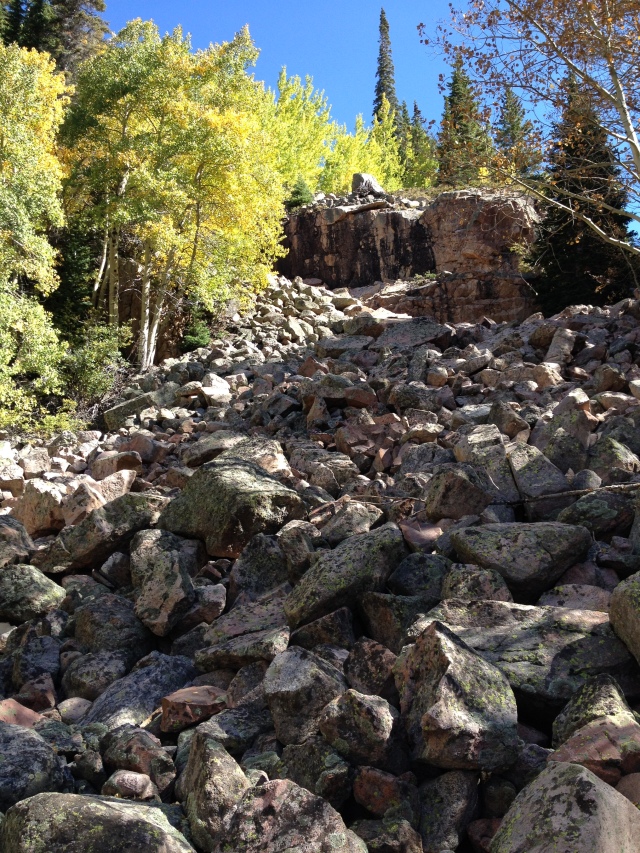 Some of the rock fields on this hike were intense.